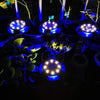 Outdoor Waterproof LED Garden Path Lights