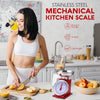 5kg Stainless Steel Kitchen Scale - Mega Cart