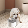 Automatic Pet Water Fountain Dispenser - Mega Cart