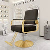 PrimeNest - Alison Adjustable Modern Saloon Chair