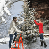 Collapsible 4-Step Ladder - Mega Cart