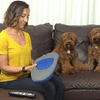 Ergonomic Memory Foam Back & Lumbar Support Pillow - Comfy Curve - Mega Cart