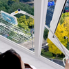 High-Rise Telescopic Window Cleaner - Streak-Free, Easy to Use - Mega Cart