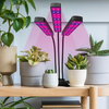 LED Flexible Growing Light With 3 Adjustable Heads - Mega Cart