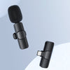 Mini Dual Portable Wireless Microphone - Mega Cart