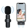Mini Dual Portable Wireless Microphone - Mega Cart