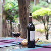 Mini Wine Aerator Pourer & Decanter - Mega Cart