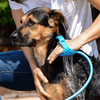 Pet Bathing Tool - Mega Cart