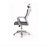 PrimeNest Set of 2  Ergonomic Parker Office Chair - Modern, Adjustable, Lumbar Support - Mega Cart