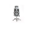 PrimeNest Set of 2  Ergonomic Parker Office Chair - Modern, Adjustable, Lumbar Support - Mega Cart