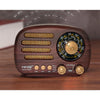 Multi-Band Portable AM FM SW MP3 Radio - Mega Cart