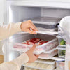 Refrigerator Fresh Storage Box - Antibacterial, Airtight, Food-Grade - Mega Cart