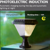 Remote Controlled Solar Powered Garden Light - Mega Cart