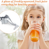 Single Press Hand Press Fruit Juicer - Mega Cart