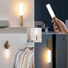 Smart Induction Sensor LED Light - Mega Cart