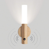 Smart Induction Sensor LED Light - Mega Cart