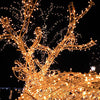 Solar-Powered Waterproof LED Fairy Lights for Garden & Patio - Mega Cart