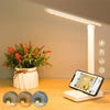 Portable LED Desk Lamp USB Rechargeable - Mega Cart