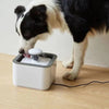 USB Powered Pet Water Fountain - Mega Cart